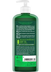 Logona Pflege Shampoo Bio-Brennnessel Haarshampoo 750.0 ml