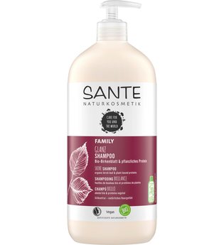 Sante Bio-Birkenblatt & pflanzliches Protein Family Glanz Shampoo Haarshampoo 950 ml