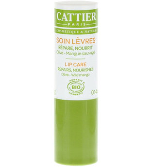 Cattier Produkte Lip Care - Olive & Wild Mango 4g Lippenbalm 4.0 g