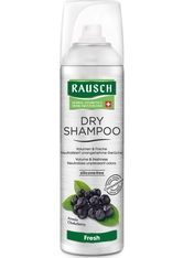 Rausch Dry Shampoo fresh Dosierspray Haarshampoo 0.15 l