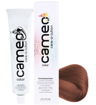 Cameo Color Haarfarbe 6/L7 dunkelblond leicht-braun 60 ml
