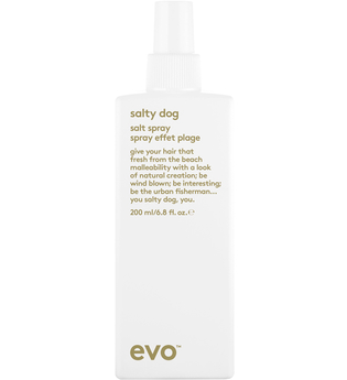 Evo Hair Style Salty Dog Salt Spray 200 ml Haarspray