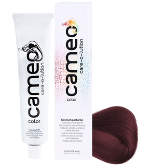 Cameo Color Haarfarbe 3/6i dunkelbraun intensiv violett-intensiv 60 ml