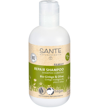 Sante Produkte Ginkgo & Olive - Repair Shampoo 200ml Haarshampoo 200.0 ml
