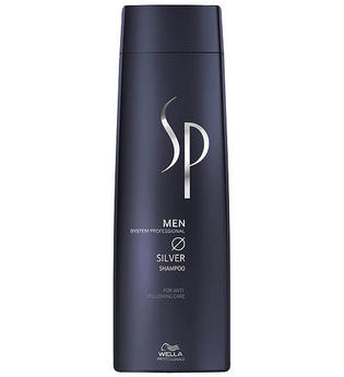 System Professional Men Silver Shampoo Haarshampoo 250 ml