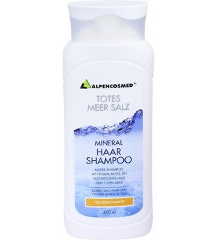 AZETT Totes Meer Salz Haarshampoo Haarshampoo 250.0 ml