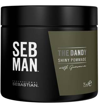 SEB MAN The Dandy Shiny Pommade with Guarana Stylingcreme 75 ml