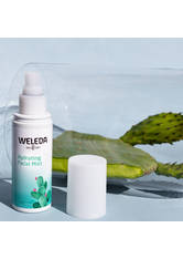 Weleda Gesichtspflege Feigenkaktus - Feuchtigkeitsspray 100ml Gesichtsspray 100.0 ml