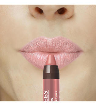 Burt's Bees 100 % Natural Gloss Lip Crayon 2,83 g (verschiedene Farbtöne) - Oatback Oasis