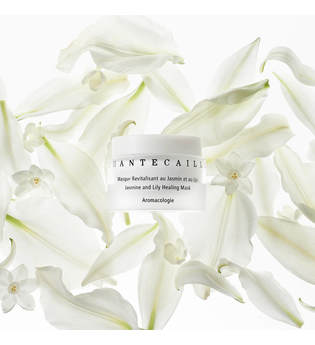 Chantecaille - Jasmine And Lily Healing Mask, 50 Ml – Maske - one size