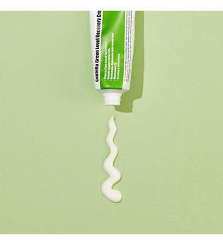 PURITO Produkte PURITO Centella Green Level Recovery Cream Gesichtscreme 50.0 ml