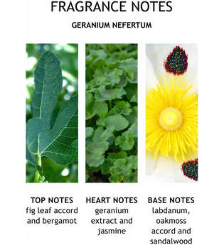 Molton Brown Body Essentials Geranium Nefertum Bath & Shower Gel Duschgel 300.0 ml