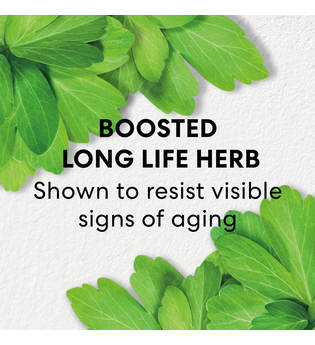 bareMinerals Skinlongevity Long Life Herb Night Treatment Nachtcreme 50 ml