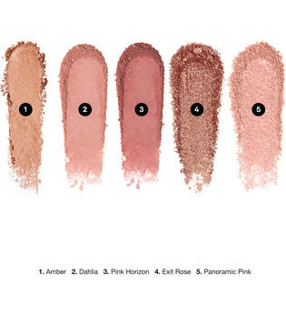 Bobbi Brown Exclusive Panoramic Pink Eyeshadow Palette 119.7g