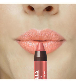 Burt's Bees 100 % Natural Gloss Lip Crayon 2,83 g (verschiedene Farbtöne) - Santorini Sunrise