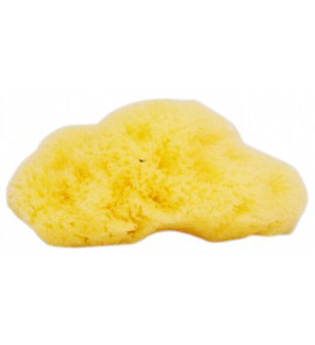Natural Sea Sponge Company - Fina Silk Sea Sponge (ca. 3 Zoll)