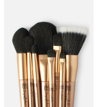 Luxury 8 Piece Brush Collection