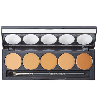 Ultimate Foundation 5 in 1 Pro Palette 300 Series