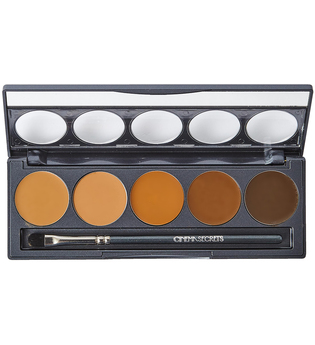 Ultimate Foundation 5 in 1 Pro Palette 200 Series