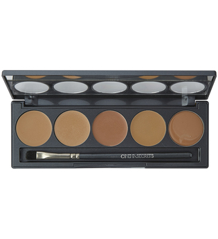 Ultimate Foundation 5 in 1 Pro Palette 500B Series