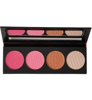 GBL572 Pinky Beauty Brick Blush Palette