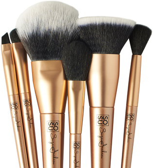 Luxury 6 Piece Brush Collection