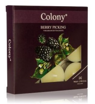 Wax Lyrical Colony Berry Picking Tealights Duftkerze
