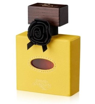 David Jourquin Cuir Solaire Vendôme Collection Eau de Parfum 100 ml
