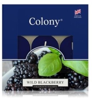 Wax Lyrical Colony Wild Blackberry Tealights Duftkerze  9 Stk