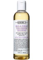 Kiehl's Haarpflege & Haarstyling Shampoos Rice & Wheat Volumizing Shampoo 250 ml