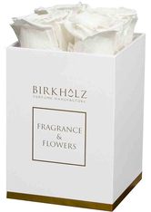 Birkholz Fragrance & Flowers Flower Box White Blumen 1.0 pieces