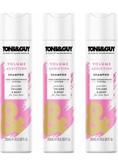 Toni & Guy Volume Addiction Shampoo 3 x 250ml