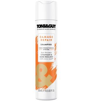 Toni & Guy Damage Repair Shampoo 250ml