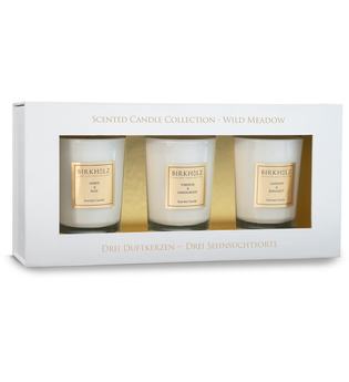 Birkholz Scented Candle Collection Mini Candle Set Wild Meadow 3 Artikel im Set