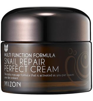 Mizon Gesichtscreme Snail Repair Perpect Cream (50ml)