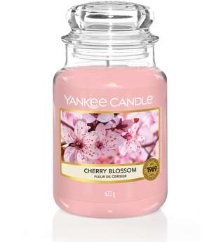 Yankee Candle Housewarmer Cherry Blossom Duftkerze 0,623 kg