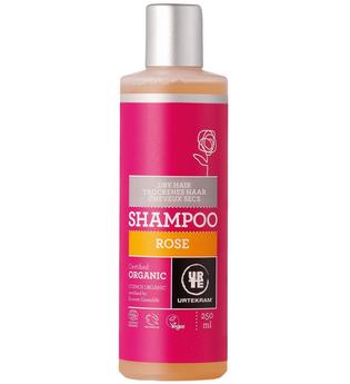 Urtekram Produkte Rose - Shampoo trockenes Haar 250ml Haarshampoo 250.0 ml