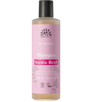 Urtekram Nordic Birch - Shampoo trockenes Haar 250ml Haarshampoo 250.0 ml