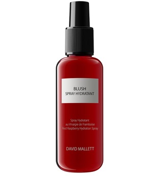 David Mallett Produkte Blush Spray Hydratant Haarspray 150.0 ml