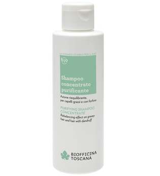 Purifying Shampoo Concentrate 150 ml