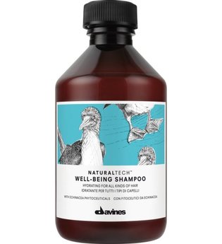 Davines Pflege Naturaltech Well-Being Shampoo 250 ml