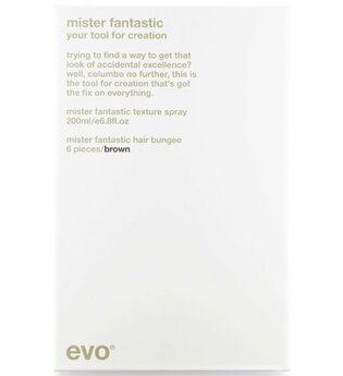 EVO Hair Style Mister Fantastic Your Tool for Creation (brown) Haarstylingset