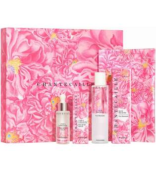 Chantecaille Skincare JD Tray Set Gesichtspflege 1.0 pieces