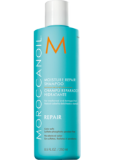 Moroccanoil - Feuchtigkeitsspendendes Reparaturshampoo - Moroccan O Care Hair 250ml-