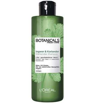 L'Oréal Paris Botanicals Fresh Care Ingwer & Koriander Haarshampoo 300 ml