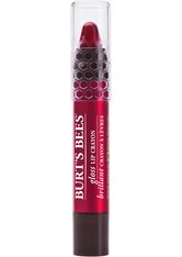 Burt's Bees 100 % Natural Gloss Lip Crayon 2,83 g (verschiedene Farbtöne) - Pacific Coast