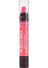 BURT'S BEES Lipgloss »Glossy Crayon«, rosa, 2,83 g, Pink Laggon