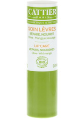 Cattier Produkte Lip Care - Olive & Wild Mango 4g Lippenbalm 4.0 g