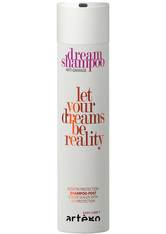 Artego Easy Care Dream Repair Aufbau-Shampoo 250 ml