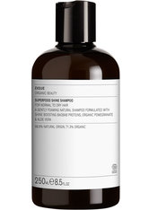 Evolve Organic Beauty Superfood Shine Shampoo Haarshampoo 250.0 ml